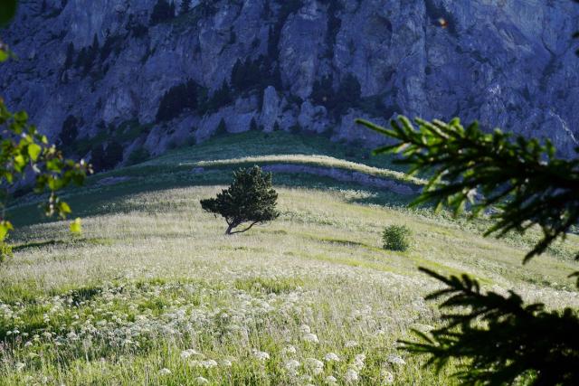 Grotte de lArclusaz