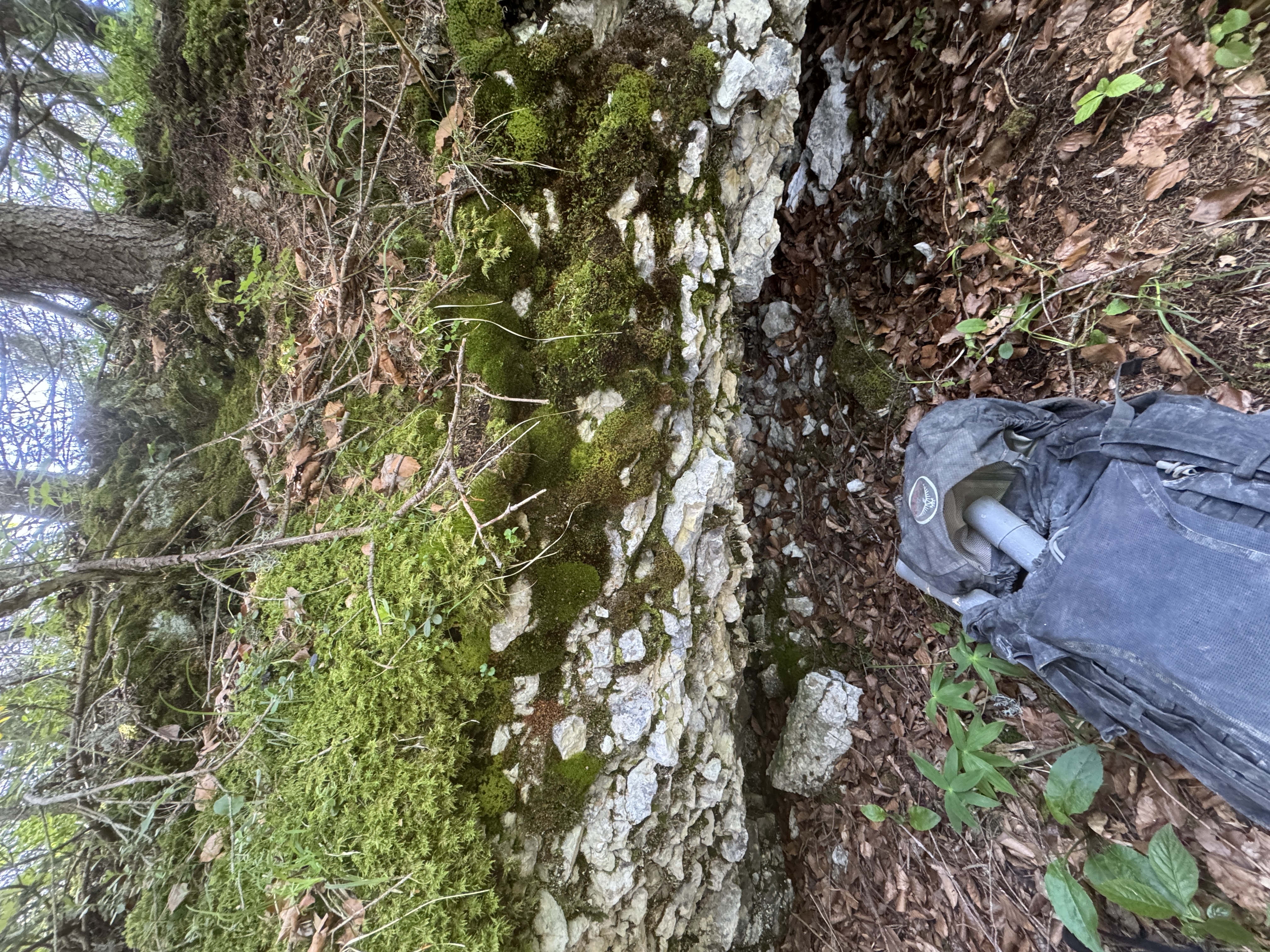 M25 - Salle soufflante